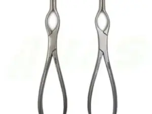 Two stainless steel dental extraction forceps standing upright side by side